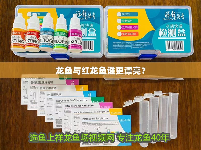 龍魚與紅龍魚誰更漂亮？