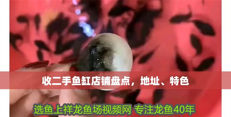 收二手魚缸店鋪盤點，地址、特色