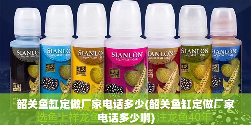 韶關魚缸定做廠家電話多少(韶關魚缸定做廠家電話多少啊)