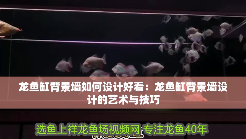 龍魚缸背景墻如何設計好看：龍魚缸背景墻設計的藝術與技巧