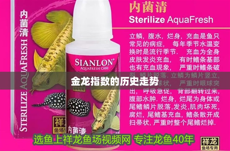 金龍指數的歷史走勢