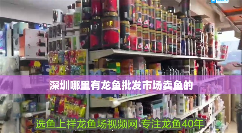 深圳哪里有龍魚批發市場賣魚的