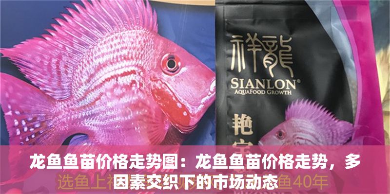 龍魚魚苗價格走勢圖：龍魚魚苗價格走勢，多因素交織下的市場動態(tài)