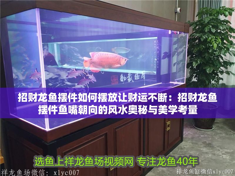 招財龍魚擺件如何擺放讓財運不斷：招財龍魚擺件魚嘴朝向的風水奧秘與美學考量