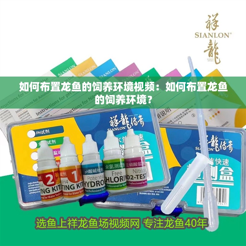 如何布置龍魚的飼養環境視頻：如何布置龍魚的飼養環境？