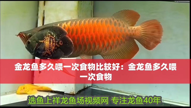 金龍魚(yú)爆鱗怎么回事：金龍魚(yú)爆鱗怎么辦