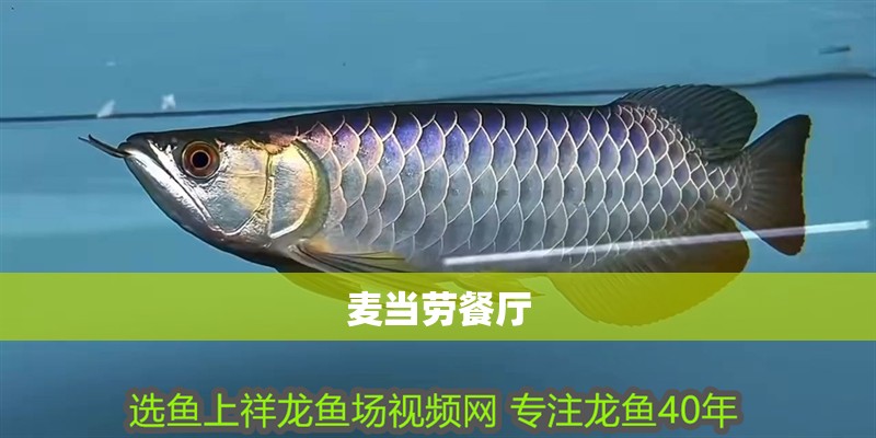 麥當(dāng)勞餐廳