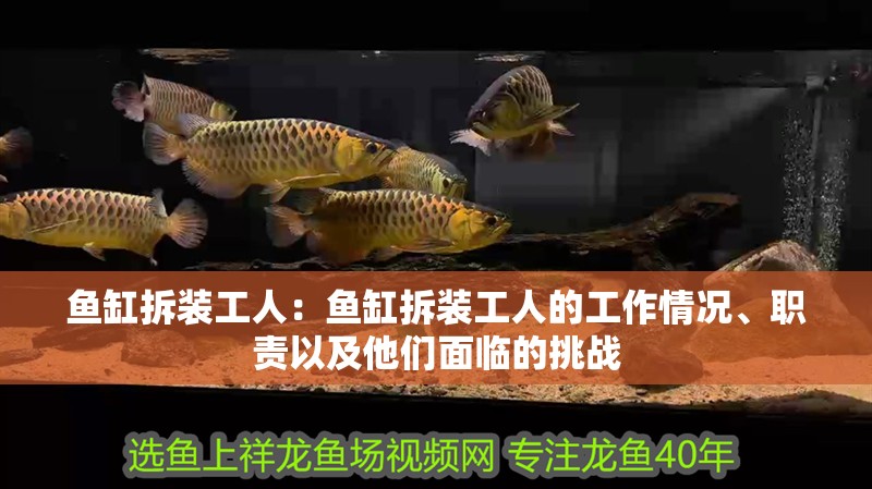 魚缸拆裝工人：魚缸拆裝工人的工作情況、職責以及他們面臨的挑戰(zhàn)