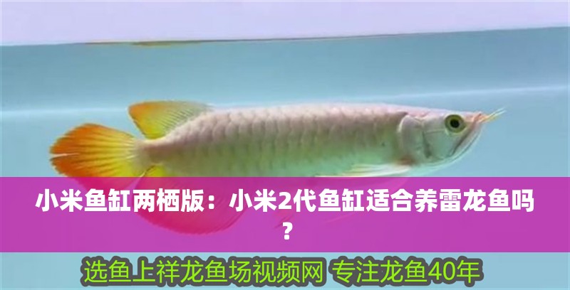 小米魚缸兩棲版：小米2代魚缸適合養雷龍魚嗎？