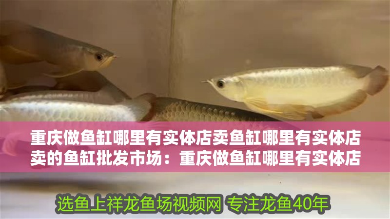 重慶做魚缸哪里有實體店賣魚缸哪里有實體店賣的魚缸批發市場：重慶做魚缸哪里有實體店賣