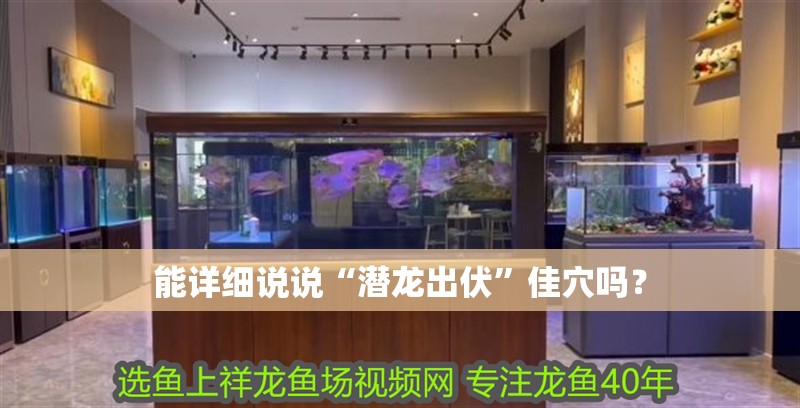 能詳細(xì)說說“潛龍出伏”佳穴嗎？