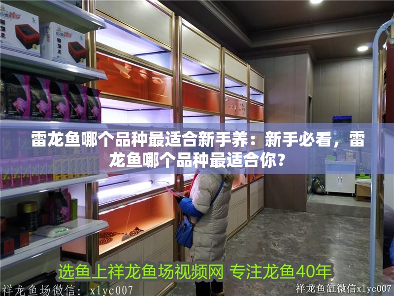 雷龍魚哪個品種最適合新手養：新手必看，雷龍魚哪個品種最適合你？
