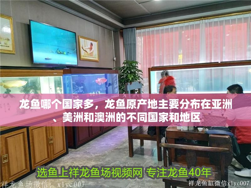 龍魚哪個國家多，龍魚原產地主要分布在亞洲、美洲和澳洲的不同國家和地區