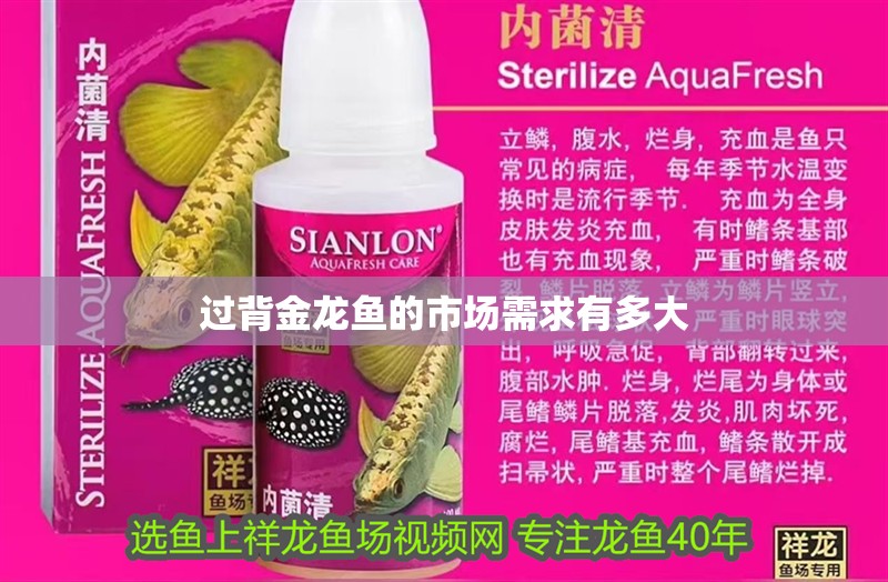 過背金龍魚的市場需求有多大