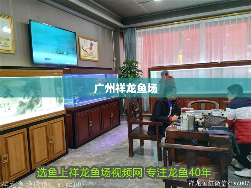 魔鬼魚和蝠鲼有什么區別