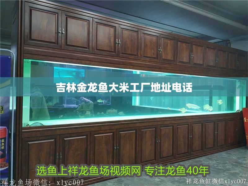 紅龍魚(yú)40長(zhǎng)到60需要多久