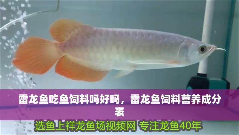雷龍魚吃魚飼料嗎好嗎，雷龍魚飼料營養成分表