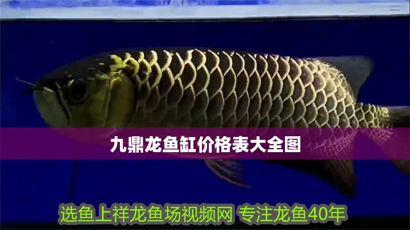九鼎龍魚缸價(jià)格表大全圖