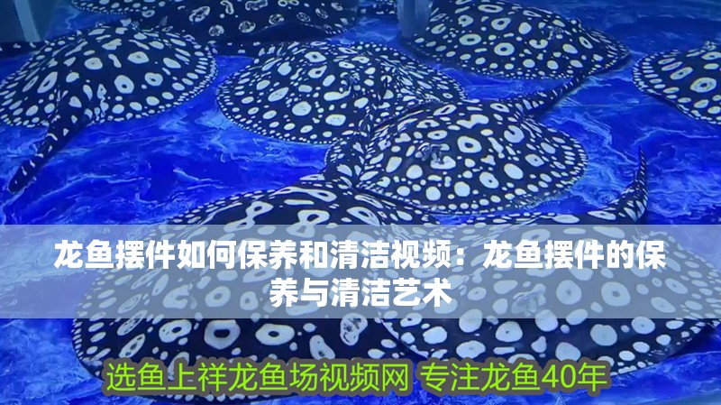 龍魚擺件如何保養和清潔視頻：龍魚擺件的保養與清潔藝術
