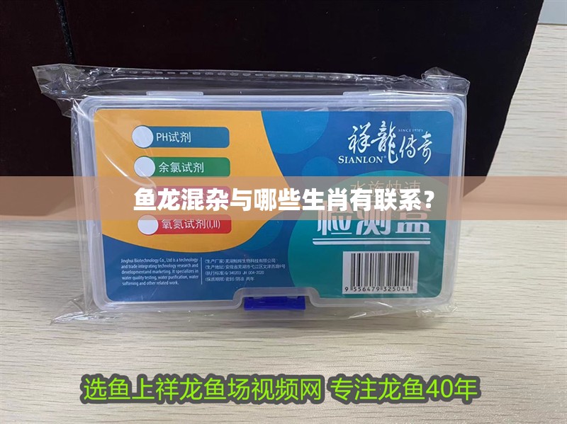 魚龍混雜與哪些生肖有聯系？