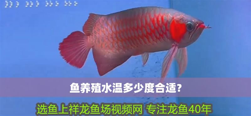 魚養殖水溫多少度合適？