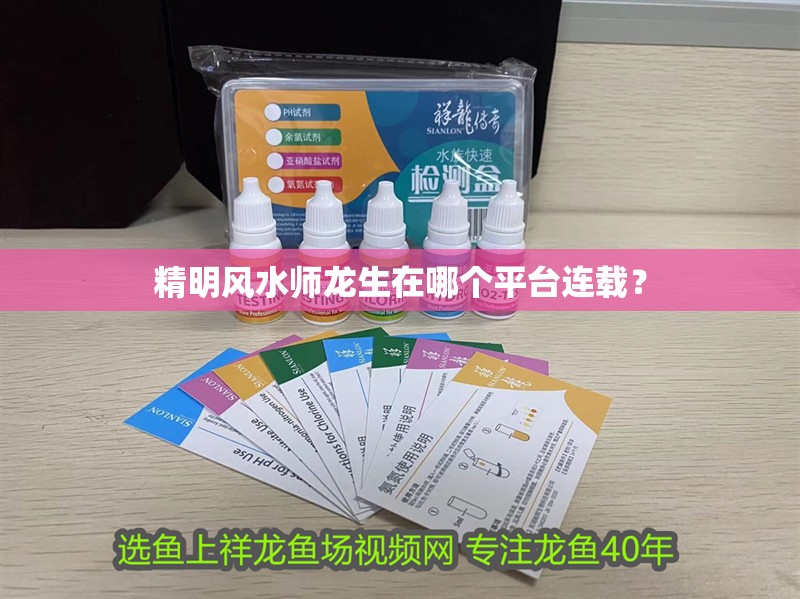 精明風水師龍生在哪個平臺連載？