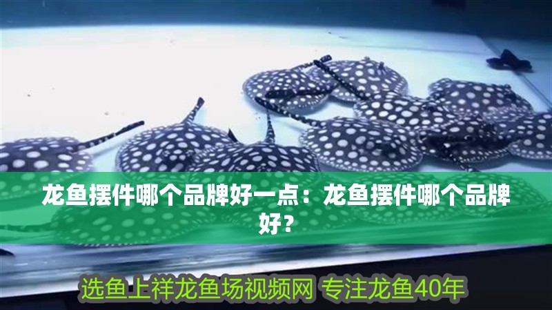 龍魚擺件哪個品牌好一點：龍魚擺件哪個品牌好？