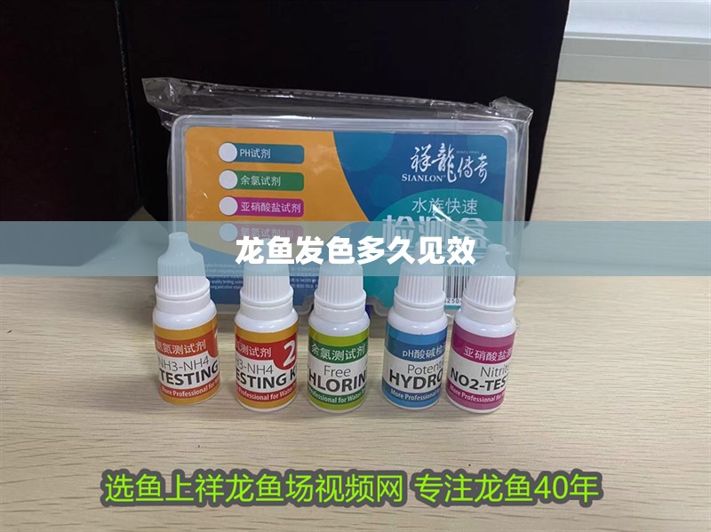 龍魚發色多久見效 龍魚發色多久見效 龍魚百科