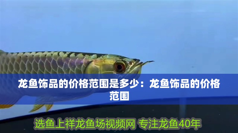 龍魚飾品的價格范圍是多少：龍魚飾品的價格范圍