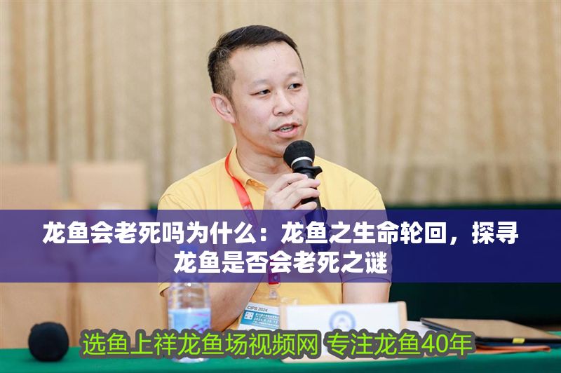 龍魚會(huì)老死嗎為什么：龍魚之生命輪回，探尋龍魚是否會(huì)老死之謎