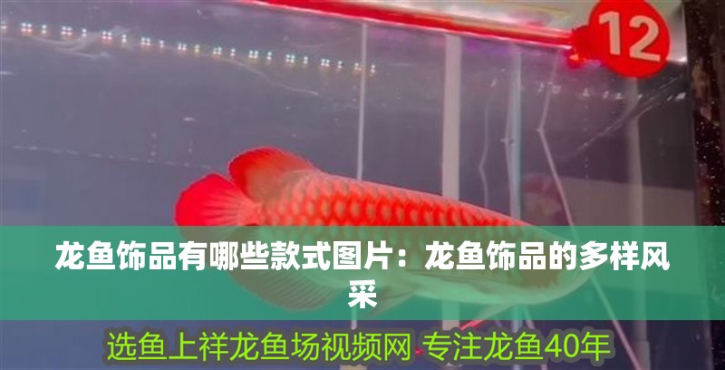 龍魚飾品有哪些款式圖片：龍魚飾品的多樣風采