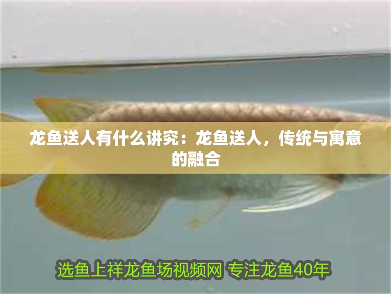 龍魚(yú)送人有什么講究：龍魚(yú)送人，傳統(tǒng)與寓意的融合