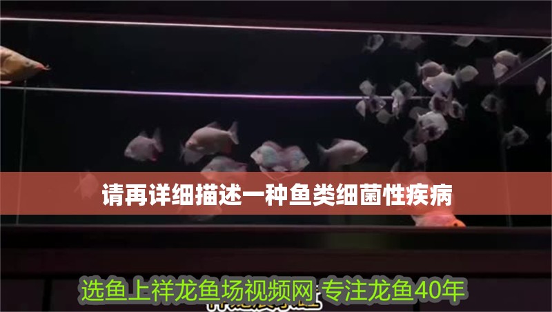 請再詳細描述一種魚類細菌性疾病