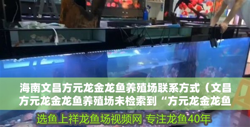 海南文昌方元龍金龍魚養殖場聯系方式（文昌方元龍金龍魚養殖場未檢索到“方元龍金龍魚養殖場”直接聯系方式）