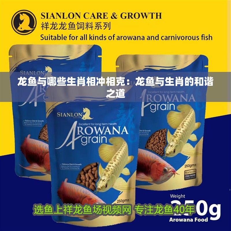 龍魚與哪些生肖相沖相克：龍魚與生肖的和諧之道