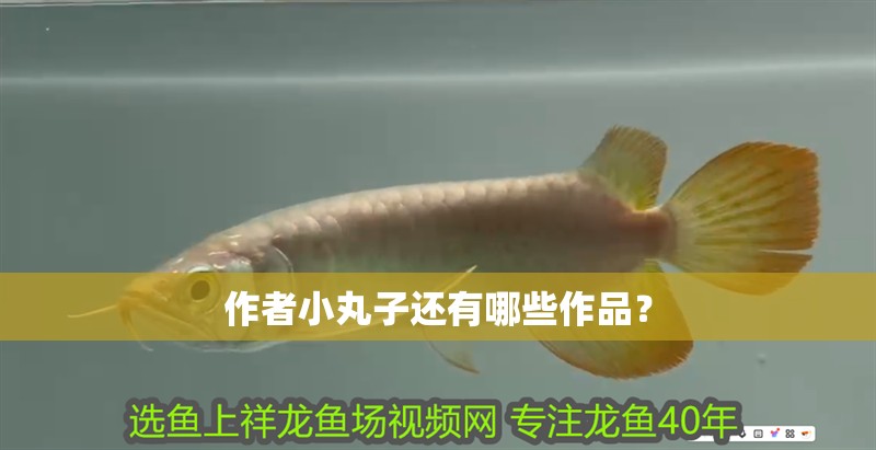 作者小丸子還有哪些作品？