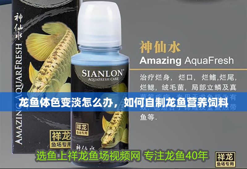 龍魚體色變淡怎么辦，如何自制龍魚營養飼料