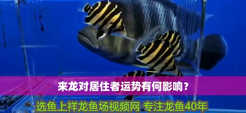 來龍對(duì)居住者運(yùn)勢有何影響？