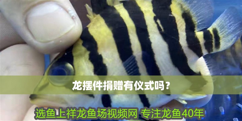 龍擺件捐贈有儀式嗎？