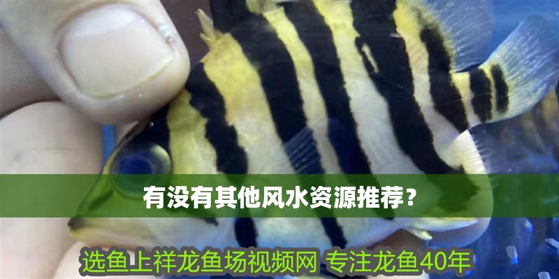 有沒有其他風水資源推薦？