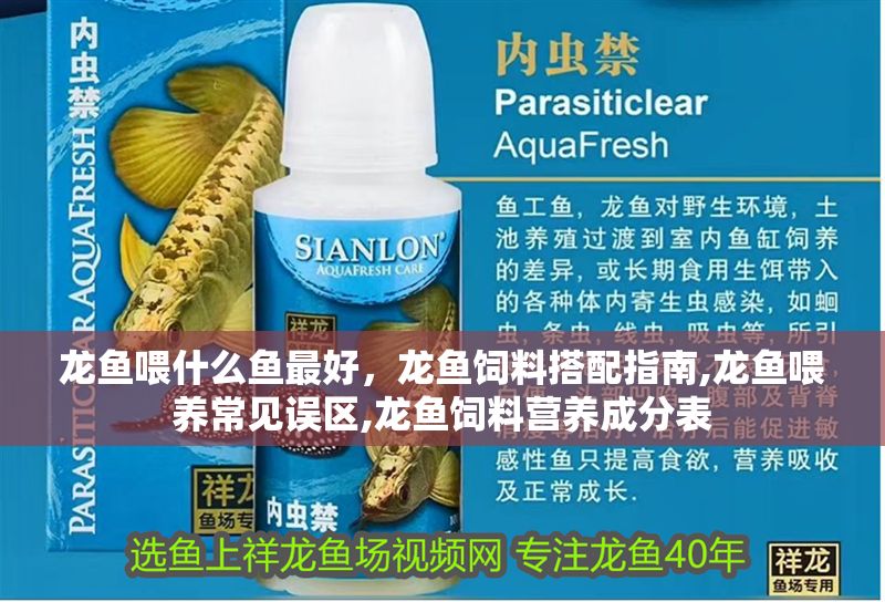 龍魚喂什么魚最好，龍魚飼料搭配指南,龍魚喂養常見誤區,龍魚飼料營養成分表 龍魚喂什么魚最好，龍魚飼料搭配指南,龍魚喂養常見誤區,龍魚飼料營養成分表 龍魚百科 第2張