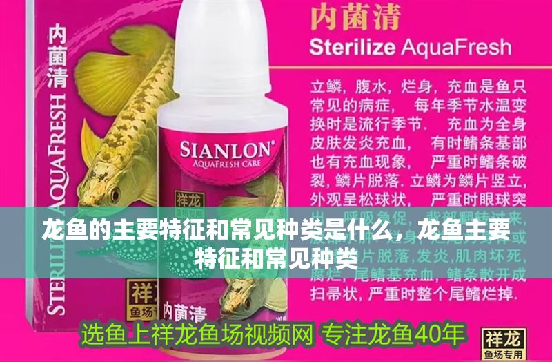 龍魚的主要特征和常見種類是什么，龍魚主要特征和常見種類