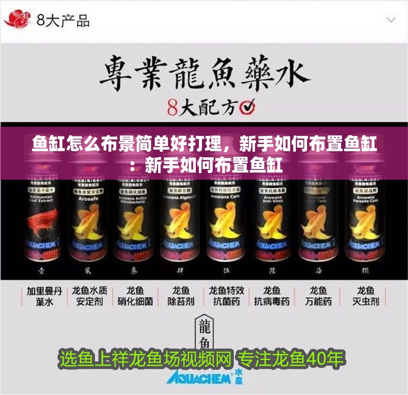 魚缸怎么布景簡單好打理，新手如何布置魚缸：新手如何布置魚缸