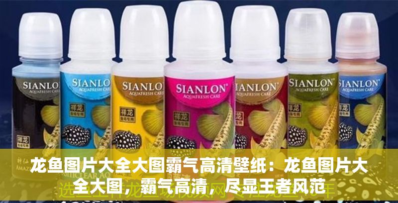 龍魚圖片大全大圖霸氣高清壁紙：龍魚圖片大全大圖，霸氣高清，盡顯王者風范