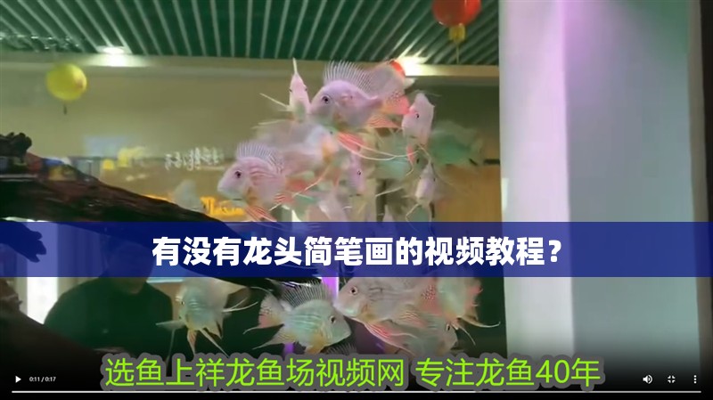 有沒(méi)有龍頭簡(jiǎn)筆畫(huà)的視頻教程？