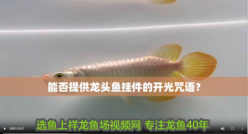 能否提供龍頭魚掛件的開光咒語？