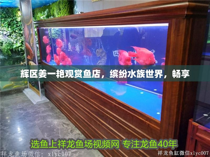 輝區姜一艷觀賞魚店，繽紛水族世界，暢享