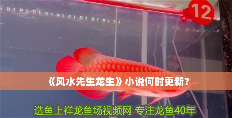 《風水先生龍生》小說何時更新？