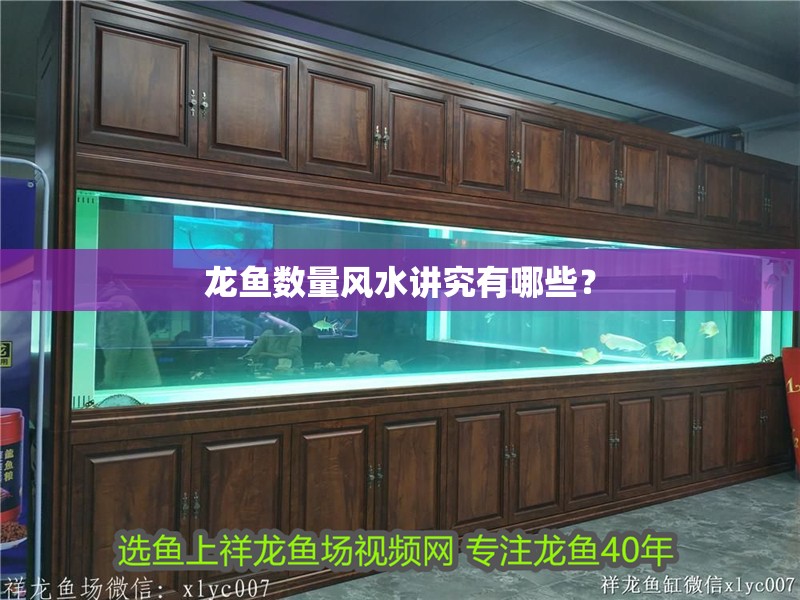 龍魚數量風水講究有哪些？