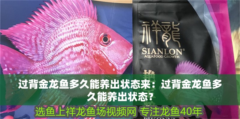 過背金龍魚多久能養出狀態來：過背金龍魚多久能養出狀態？